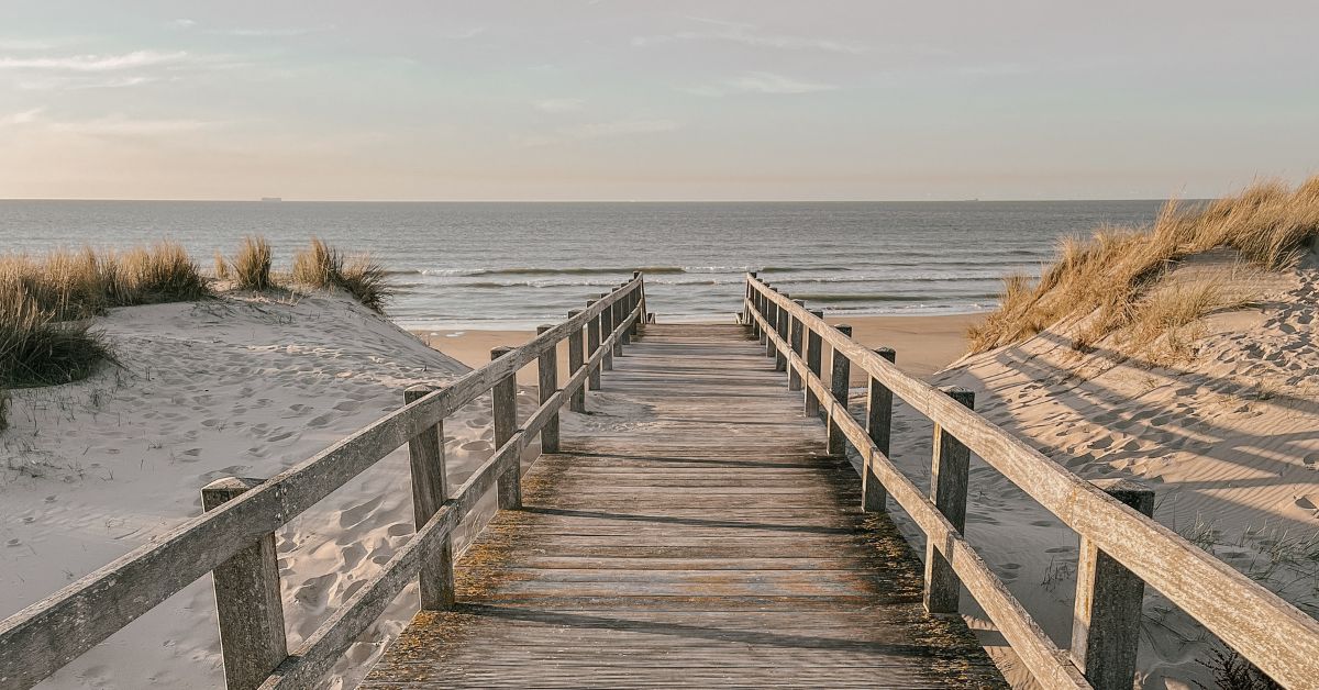 Holzsteg mit Geländer führt zwischen Dünen hindurch zum Strand und zum Meer